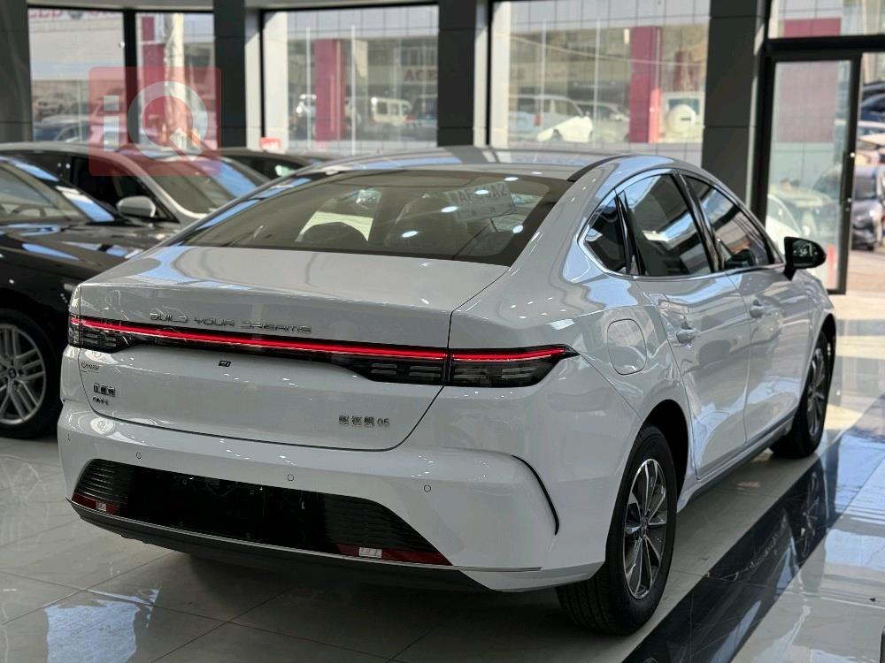 بي واي دي ديستروير 05